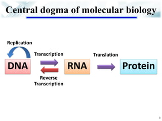 Central dogma of molecular biology 
DNA 
RNA 
Protein 
Replication 
Transcription 
Translation 
Reverse Transcription 
3  