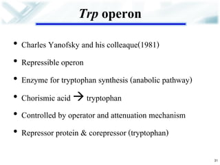 Trp operon 
•Charles Yanofsky and his colleaque(1981) 
•Repressible operon 
•Enzyme for tryptophan synthesis (anabolic pathway) 
•Chorismic acid  tryptophan 
•Controlled by operator and attenuation mechanism 
•Repressor protein & corepressor (tryptophan) 
31  