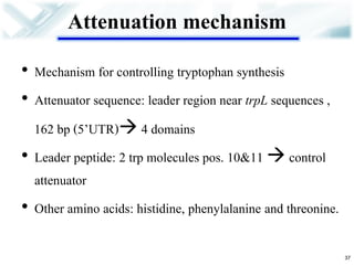 Attenuation mechanism 
•Mechanism for controlling tryptophan synthesis 
•Attenuator sequence: leader region near trpL sequences , 
162 bp (5’UTR) 4 domains 
•Leader peptide: 2 trp molecules pos. 10&11  control attenuator 
•Other amino acids: histidine, phenylalanine and threonine. 
37  