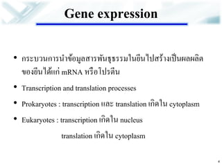 Gene expression 
•กระบวนการนาข้อมูลสารพันธุธรรมในยีนไปสร้างเป็นผลผลิต ของยีนได้แก่ mRNA หรือโปรตีน 
•Transcription and translation processes 
•Prokaryotes : transcription และ translation เกิดใน cytoplasm 
•Eukaryotes : transcription เกิดใน nucleus 
translation เกิดใน cytoplasm 
4  
