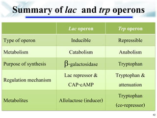 Summary of lac and trp operons 
Lac operon 
Trp operon 
Type of operon 
Inducible 
Repressible 
Metabolism 
Catabolism 
Anabolism 
Purpose of synthesis 
-galactosidase 
Tryptophan 
Regulation mechanism 
Lac repressor & CAP-cAMP 
Tryptophan & attenuation 
Metabolites 
Allolactose (inducer) 
Tryptophan 
(co-repressor) 
42  