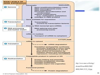 44 
http://www.mun.ca/biology/ 
desmid/brian/BIOL2060/ 
BIOL2060-23/23_10.jpg  