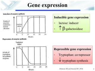 Gene expression 
(Simmons MJ and Snustad DP, 2010) 
Inducible gene expression 
-lactose: inducer 
- -galactosidase 
Repressible gene expression 
-Tryptophan: co-repressor 
- tryptophan synthesis 
7  