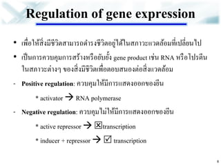 Regulation of gene expression 
•เพื่อให้สิ่งมีชีวิตสามารถดารงชีวิตอยู่ได้ในสภาวะแวดล้อมที่เปลี่ยนไป •เป็นการควบคุมการสร้างหรือยับยั้ง gene product เช่น RNA หรือโปรตีน ในสภาวะต่างๆ ของสิ่งมีชีวิตเพื่อตอบสนองต่อสิ่งแวดล้อม 
-Positive regulation: ควบคุมให้มีการแสดงออกของยีน 
* activator  RNA polymerase 
-Negative regulation: ควบคุมไม่ให้มีการแสดงออกของยีน 
* active repressor  transcription 
* inducer + repressor   transcription 
8  
