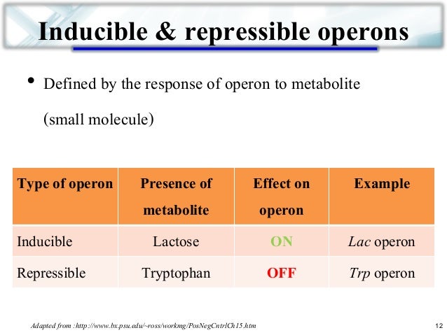 define repressible operon