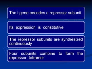 The i gene encodes a repressor subunit
Its expression is constitutive
The repressor subunits are synthesized
continuously
Four subunits combine to form the
repressor tetramer
 