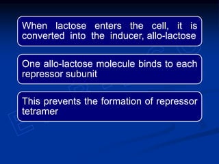 When lactose enters the cell, it is
converted into the inducer, allo-lactose
One allo-lactose molecule binds to each
repressor subunit
This prevents the formation of repressor
tetramer
 