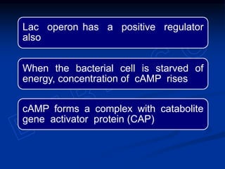 Lac operon has a positive regulator
also
When the bacterial cell is starved of
energy, concentration of cAMP rises
cAMP forms a complex with catabolite
gene activator protein (CAP)
 