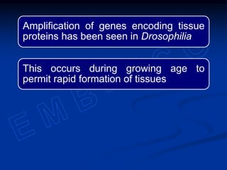 Amplification of genes encoding tissue
proteins has been seen in Drosophilia
This occurs during growing age to
permit rapid formation of tissues
 