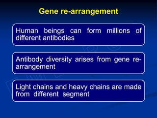 Human beings can form millions of
different antibodies
Antibody diversity arises from gene re-
arrangement
Light chains and heavy chains are made
from different segment
Gene re-arrangement
 