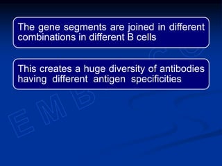 The gene segments are joined in different
combinations in different B cells
This creates a huge diversity of antibodies
having different antigen specificities
 