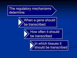The regulatory mechanisms
determine:
When a gene should
be transcribed


How often it should
be transcribed
In which tissues it
should be transcribed
 