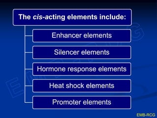 The cis-acting elements include:
Enhancer elements
Silencer elements
Hormone response elements
Heat shock elements
Promoter elements
EMB-RCG
 