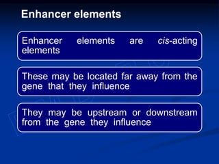 Enhancer elements are cis-acting
elements
These may be located far away from the
gene that they influence
They may be upstream or downstream
from the gene they influence
Enhancer elements
 