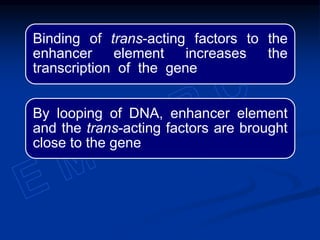 Binding of trans-acting factors to the
enhancer element increases the
transcription of the gene
By looping of DNA, enhancer element
and the trans-acting factors are brought
close to the gene
 