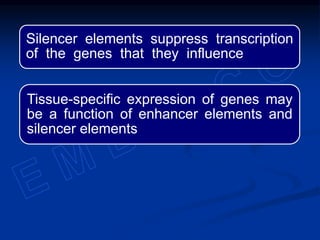 Silencer elements suppress transcription
of the genes that they influence
Tissue-specific expression of genes may
be a function of enhancer elements and
silencer elements
 