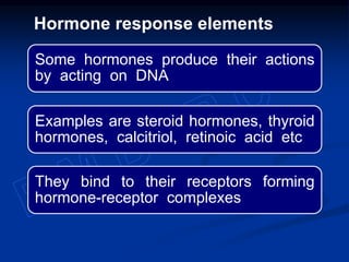 Some hormones produce their actions
by acting on DNA
Examples are steroid hormones, thyroid
hormones, calcitriol, retinoic acid etc
They bind to their receptors forming
hormone-receptor complexes
Hormone response elements
 