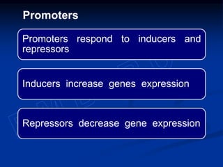 Promoters respond to inducers and
repressors
Inducers increase genes expression
Repressors decrease gene expression
Promoters
 
