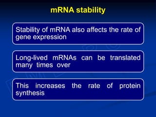 Stability of mRNA also affects the rate of
gene expression
Long-lived mRNAs can be translated
many times over
This increases the rate of protein
synthesis
mRNA stability
 