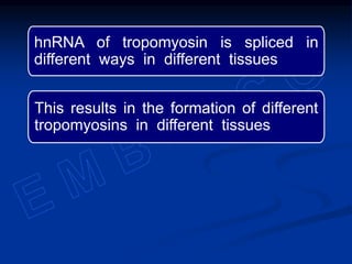 hnRNA of tropomyosin is spliced in
different ways in different tissues
This results in the formation of different
tropomyosins in different tissues
 