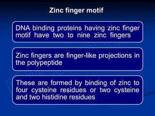 DNA binding proteins having zinc finger
motif have two to nine zinc fingers
Zinc fingers are finger-like projections in
the polypeptide
These are formed by binding of zinc to
four cysteine residues or two cysteine
and two histidine residues
Zinc finger motif
 