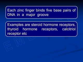 Each zinc finger binds five base pairs of
DNA in a major groove
Examples are steroid hormone receptors,
thyroid hormone receptors, calcitriol
receptor etc
 