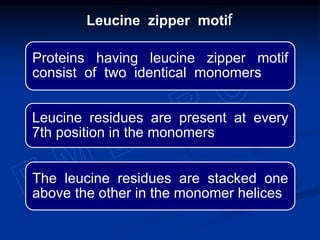 Proteins having leucine zipper motif
consist of two identical monomers
Leucine residues are present at every
7th position in the monomers
The leucine residues are stacked one
above the other in the monomer helices
Leucine zipper motif
 
