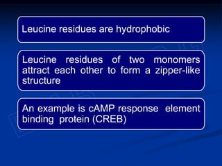 Leucine residues are hydrophobic
Leucine residues of two monomers
attract each other to form a zipper-like
structure
An example is cAMP response element
binding protein (CREB)
 