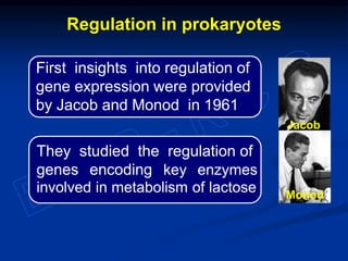 First insights into regulation of
gene expression were provided
by Jacob and Monod in 1961
Jacob
Monod
Regulation in prokaryotes
They studied the regulation of
genes encoding key enzymes
involved in metabolism of lactose
 