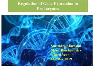 Regulation of Gene Expression in
Prokaryotes
Surendra Marasini
M.Sc. Biochemistry
Third Year
16th Dec 2019
 