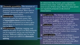 Regulation of gene expression | PPTX