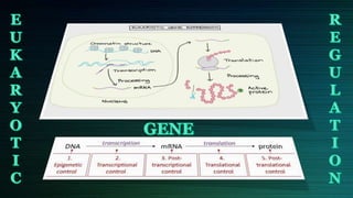 Regulation of gene expression | PPTX