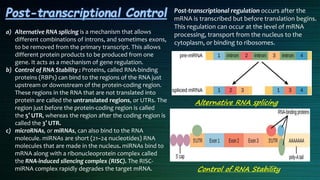 Regulation of gene expression | PPTX