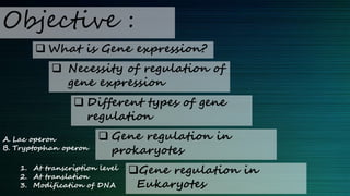 Regulation of gene expression | PPTX | Endocrine and Metabolic Diseases ...