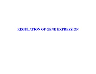 REGULATION OF GENE EXPRESSION
 