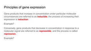 Regulation of gene expression.pdf