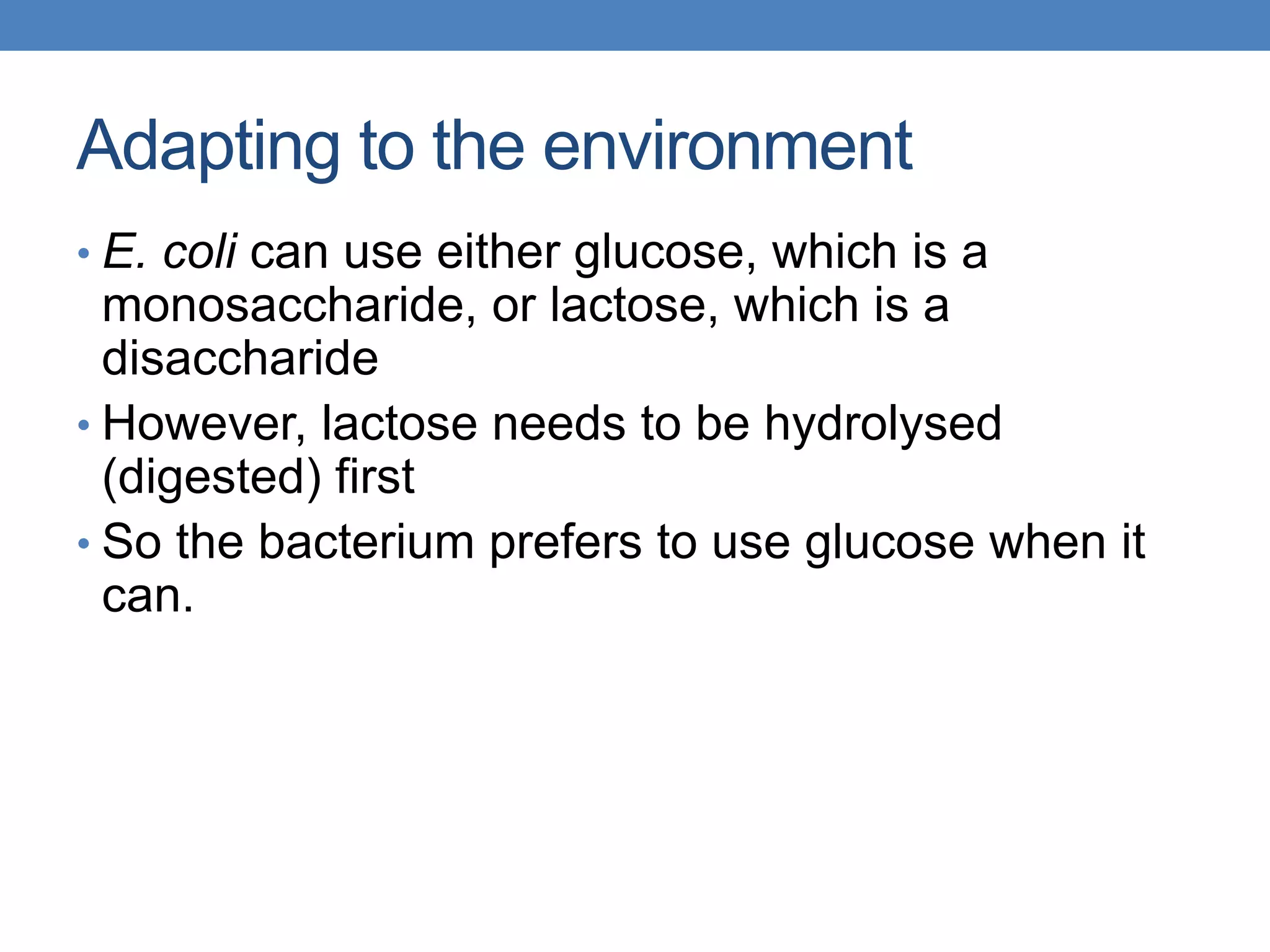 Adapting to the environment
• E. coli can use either glucose, which is a
monosaccharide, or lactose, which is a
disaccharide
• However, lactose needs to be hydrolysed
(digested) first
• So the bacterium prefers to use glucose when it
can.
 