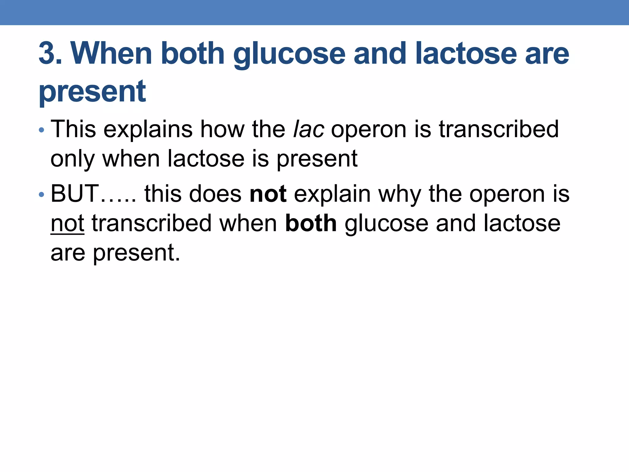 3. When both glucose and lactose are
present
• This explains how the lac operon is transcribed
only when lactose is present
• BUT….. this does not explain why the operon is
not transcribed when both glucose and lactose
are present.
 