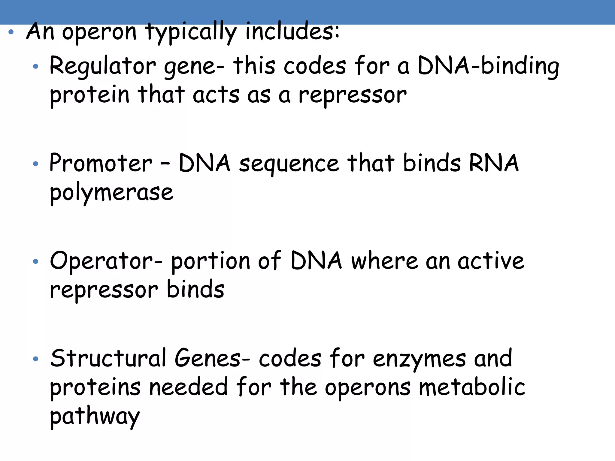 • An operon typically includes:
• Regulator gene- this codes for a DNA-binding
protein that acts as a repressor
• Promoter – DNA sequence that binds RNA
polymerase
• Operator- portion of DNA where an active
repressor binds
• Structural Genes- codes for enzymes and
proteins needed for the operons metabolic
pathway
 