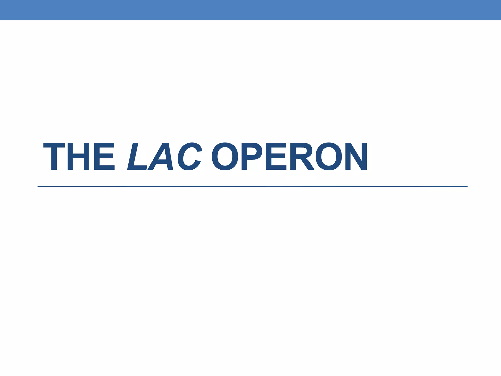 THE LAC OPERON
 