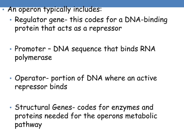 Regulation of Gene expression.pdf