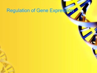 Regulation of Gene Expression
 