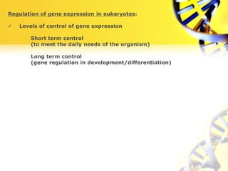 Regulation of gene expression and genetics.ppt