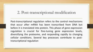 Regulation of gene Expression.pdf....... | PDF
