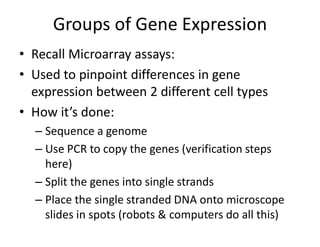 Regulation of Gene Expression-SH.pdf