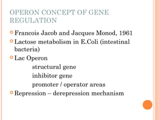 Regulation of gene expression (1).ppt ars | PPT