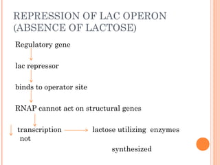 Regulation of gene expression (1).ppt ars | PPT