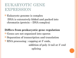 Regulation of gene expression (1).ppt ars | PPT