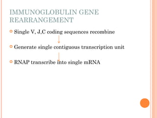 Regulation of gene expression (1).ppt ars | PPT