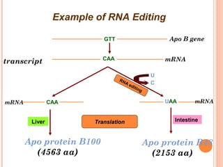 Regulation of gene expression (1).ppt ars | PPT